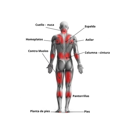 Masajeador Muscular Terapeutico
